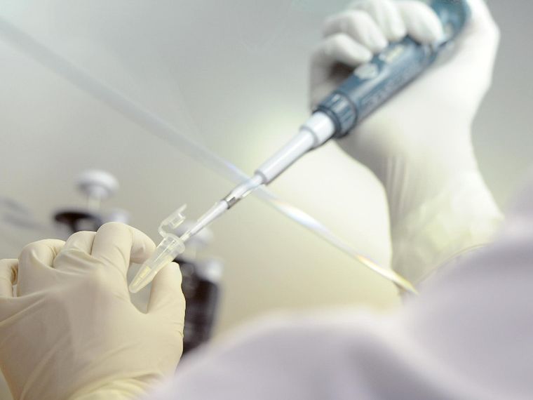 In provetta il “bambino perfetto” per fare a gara con Dio