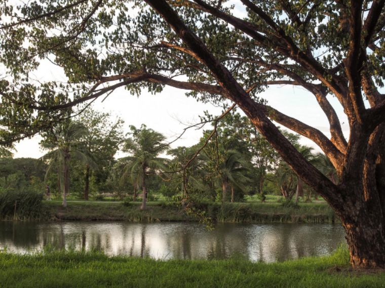 La felicità che mette radici in Dio