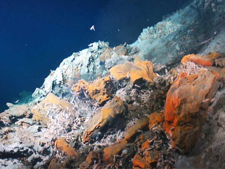 Scoperti batteri che respirano rocce e zolfo. E puliscono l'ambiente