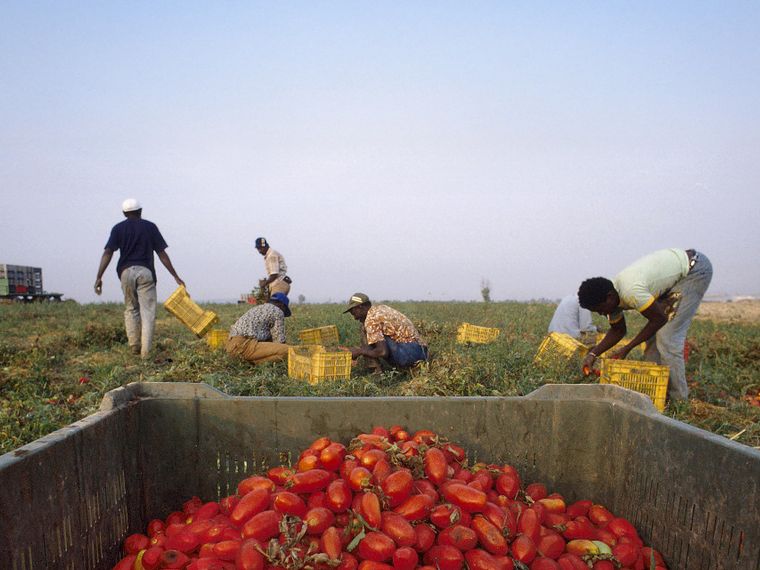 Il dramma del bracciante Alagie, 29 anni, che si è impiccato nella baraccopoli