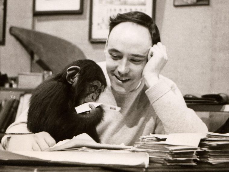 Addio a Desmond Morris. Con "La scimmia nuda" riportò l’uomo dentro lo zoo