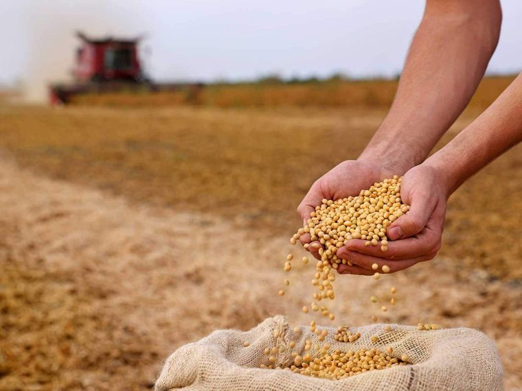 Effetto Hormuz, i prezzi globali del cibo sono ai massimi da quattro anni