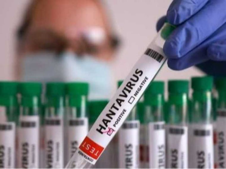 Hantavirus, ecco le misure per prevenire la diffusione