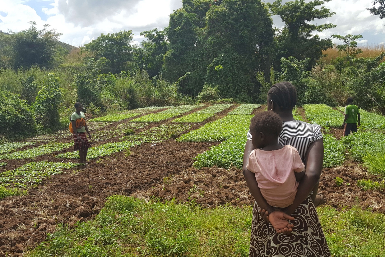 Uno degli orti comunitari nel villaggio di Nadiket, nella regione ugandese della Karamoja: venduti i prodotti, una parte del ricavato andrà ad alimentare una cassa comune (Paolo M. Alfieri)