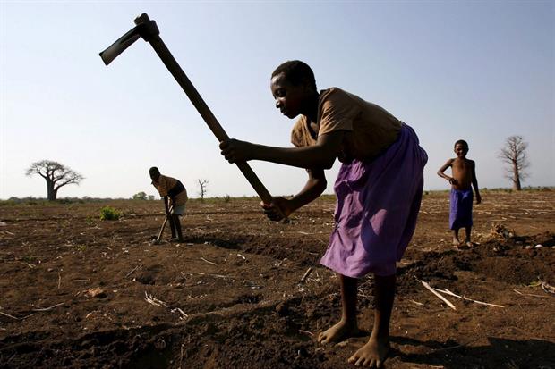 Contadini al lavoro nel sud del Malawi: l'85% della popolazione pratica un'agricoltura di sussistenza