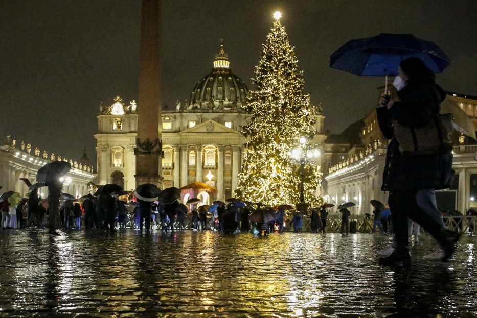 L'albero di Natale in piazza San Pietro