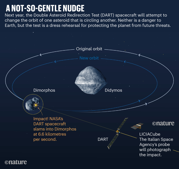 L'orbita dei due asteroidi
