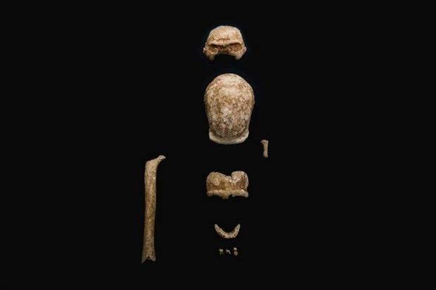 Uno degli scheletri di Neanderthal ritrovati al Circeo