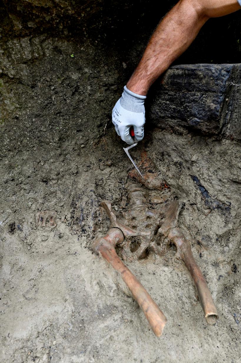 Lo scheletro dell'uomo di 40-45 anni, travolto dall'eruzione del Vesuvio, ritrovato a Ercolano