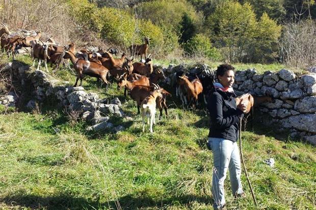 Agitu Ideo Gudeta, pastora di 42 anni originaria dell'Etiopia, nota con il soprannome di «Regina delle capre felici» è stata uccisa nella sua abitazione di Frassilongo in Val dei Mocheni in Trentino