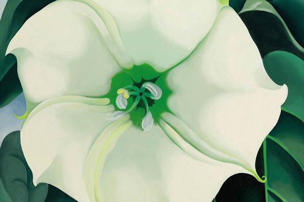Georgia O'Keeffe, 'Series I White and Blue Flower Shapes',  1919