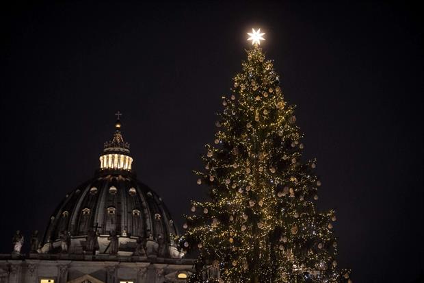 L'albero di Natale in piazza San Pietro