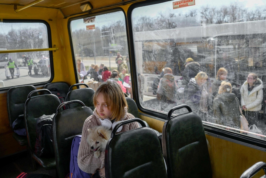 Una bambina con il suo cane sul pullman dei profughi arrivato a Zaporizhzhia, 6 aprile