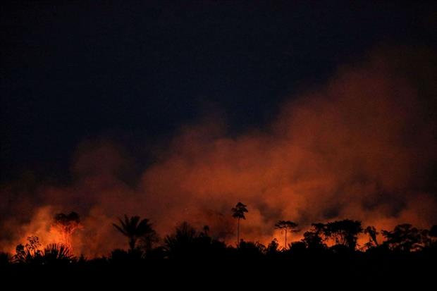 Quest'anno c'è stato il record di incendi in Amazzonia