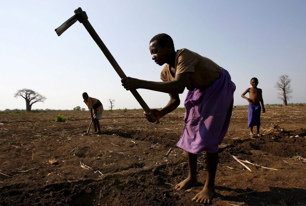 Grave la siccità nel Corno d'Africa