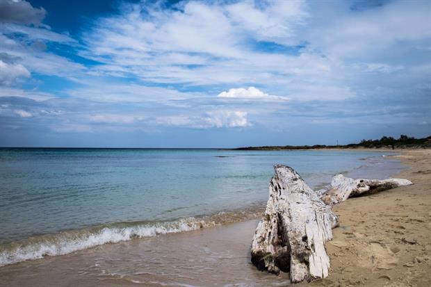 La spiaggia di Torre Guaceto, una delle aree che saranno protette da Blue Marine Foundation con l'aiuto di Ubs Optimus Foundation