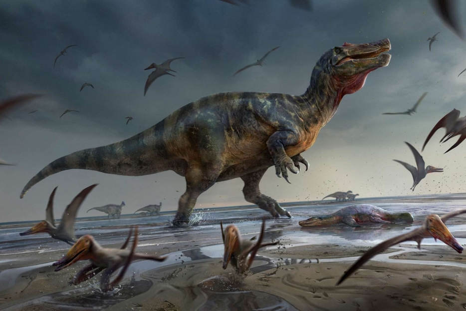 Una ricostruzione artistica di come doveva essere lo 'Spinosauride della roccia bianca' vissuto in Europa 125 milioni di anni fa