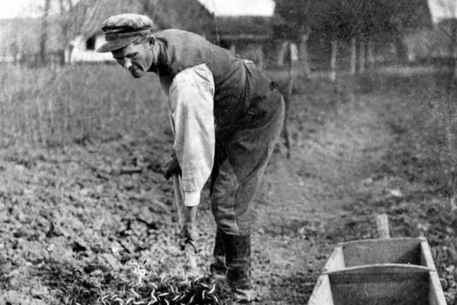 Josef Ulma mentre lavora i campi vicino a casa