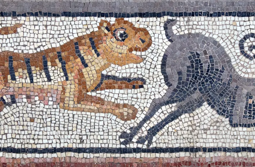 Tigre che insegue uno stambecco, dal mosaico dell'iscrizione nella sinagoga di Huqoq