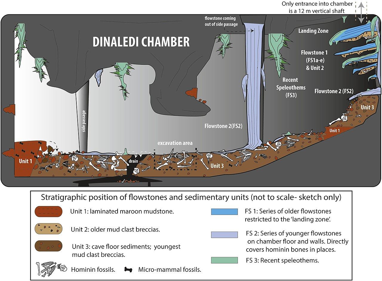 Una ricostruzione della grotta dove sono state ritrovate le “tombe” dell’Homo naledi