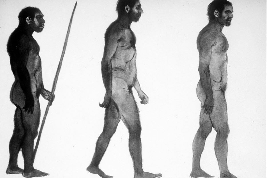 Ricostruzioni di uomini primitivi: uomo di Neanderthal, uomo del Monte Carmelo, uomo di Cro-Magnon