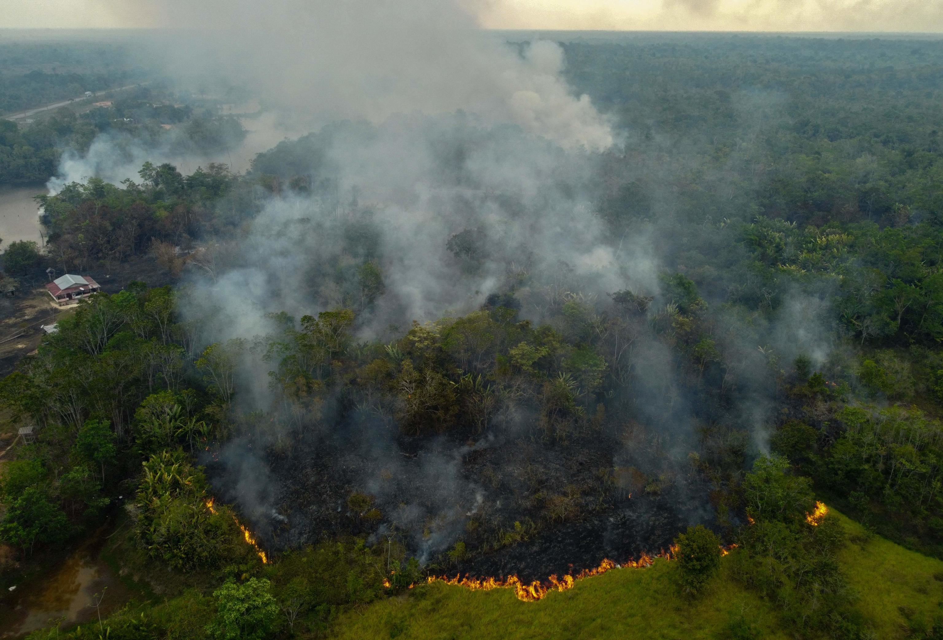 Incendi in Amazzonia colombiana