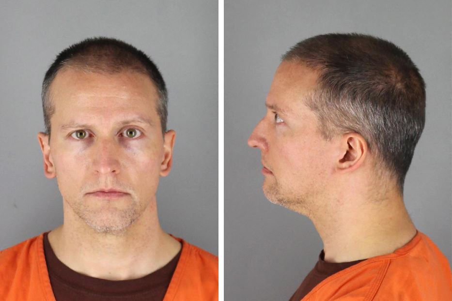 La foto segnaletica dell'ex agente della polizia di Minneapolis, Derek Chauvin