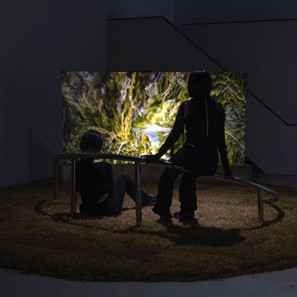 “Coagulation3” di Gijeong Goo dal padiglione tematico “Hybrid Landscape is Isolated”