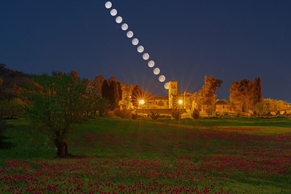 Il sentiero della luna sul campo di tulipani selvatici. Sullo sfondo il Santuario della Madonna dell'Olio, Blufi, Sicilia