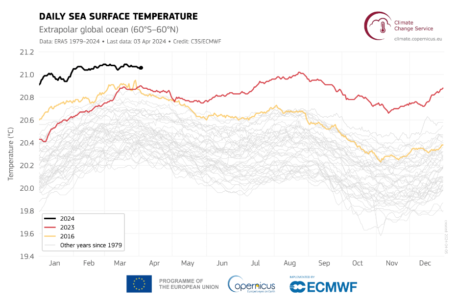 La temperatura media giornaliera della superficie del mare (°C) sull'oceano globale extrapolare