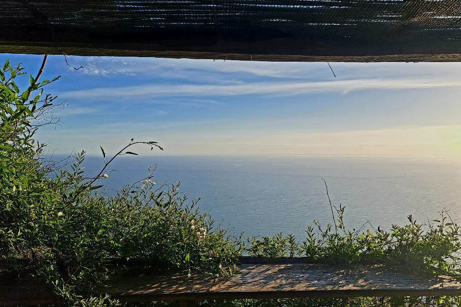 La finestra sul mare dal museo del vino di Capellini