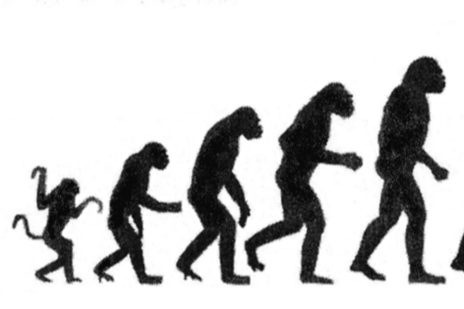 l'evoluzione dell'uomo