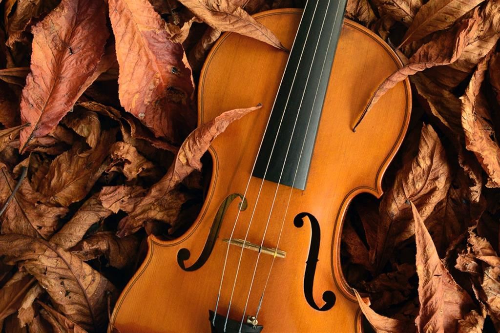 Violino d'autunno
