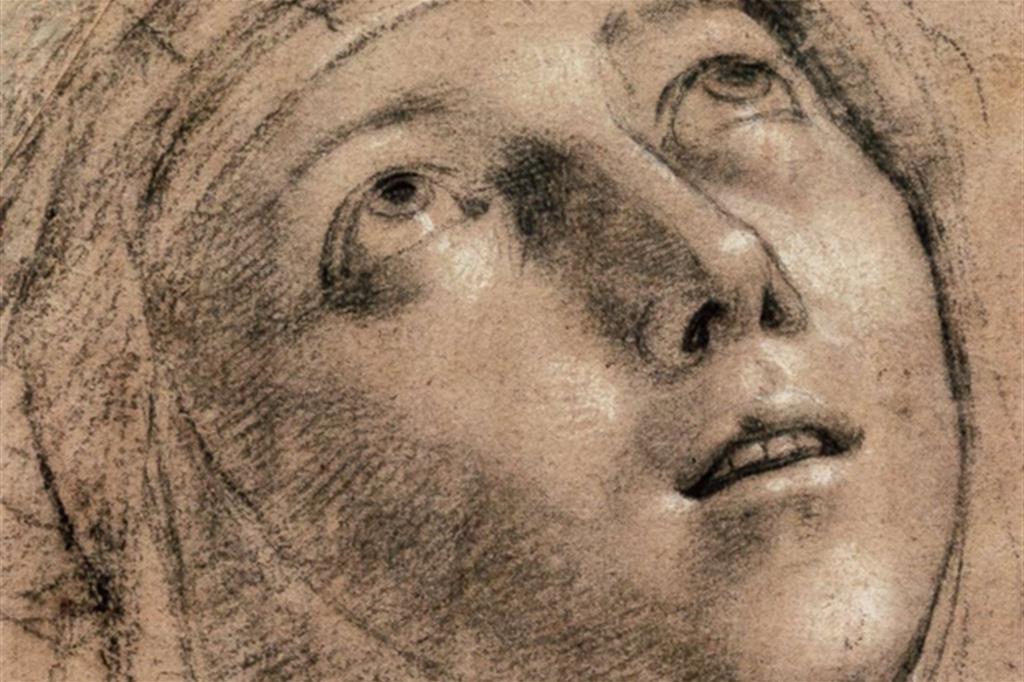 Un disegno per il volto di una santa, opera che Moro attribuisce a Caravaggio