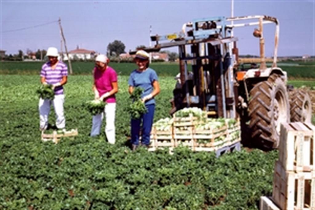 Giovani agricoltori, al via Generazione Campolibero 