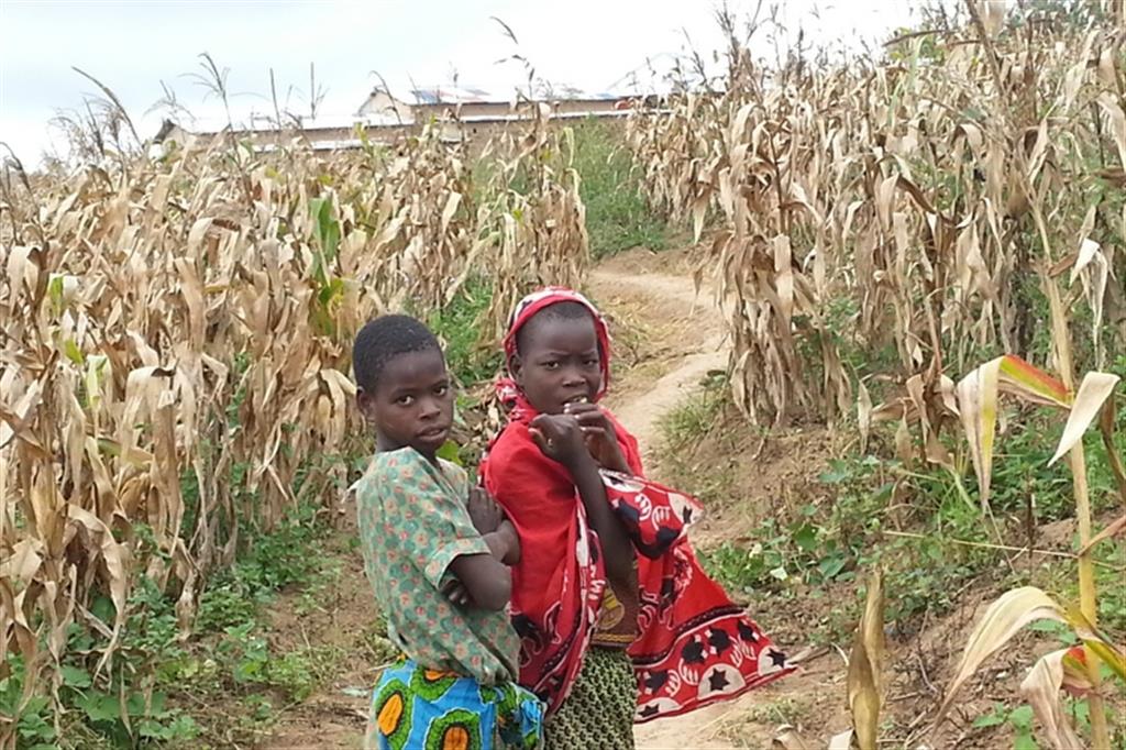 Il Malawi dei granai vuoti: milioni a rischio fame 
