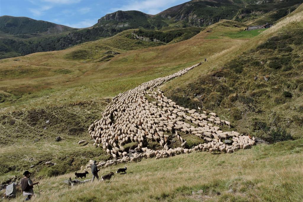 Le foto deI mondo lontano dei pastori
