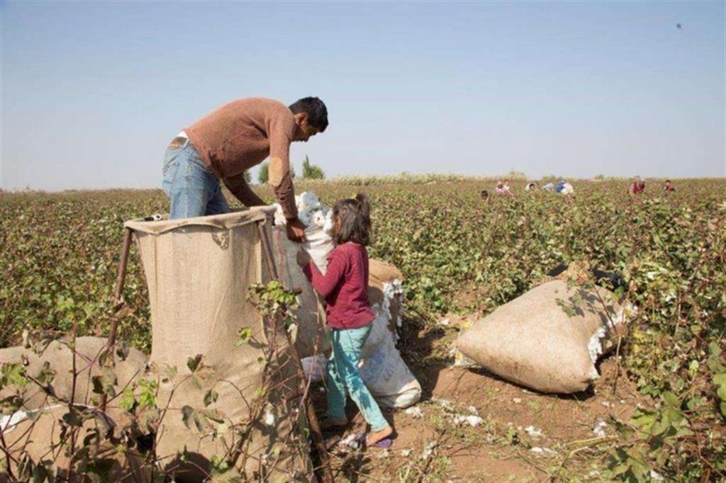 Lavoro minorile, troppi bambini siriani sfruttati