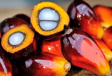 La Ferrero difende il suo olio di palma