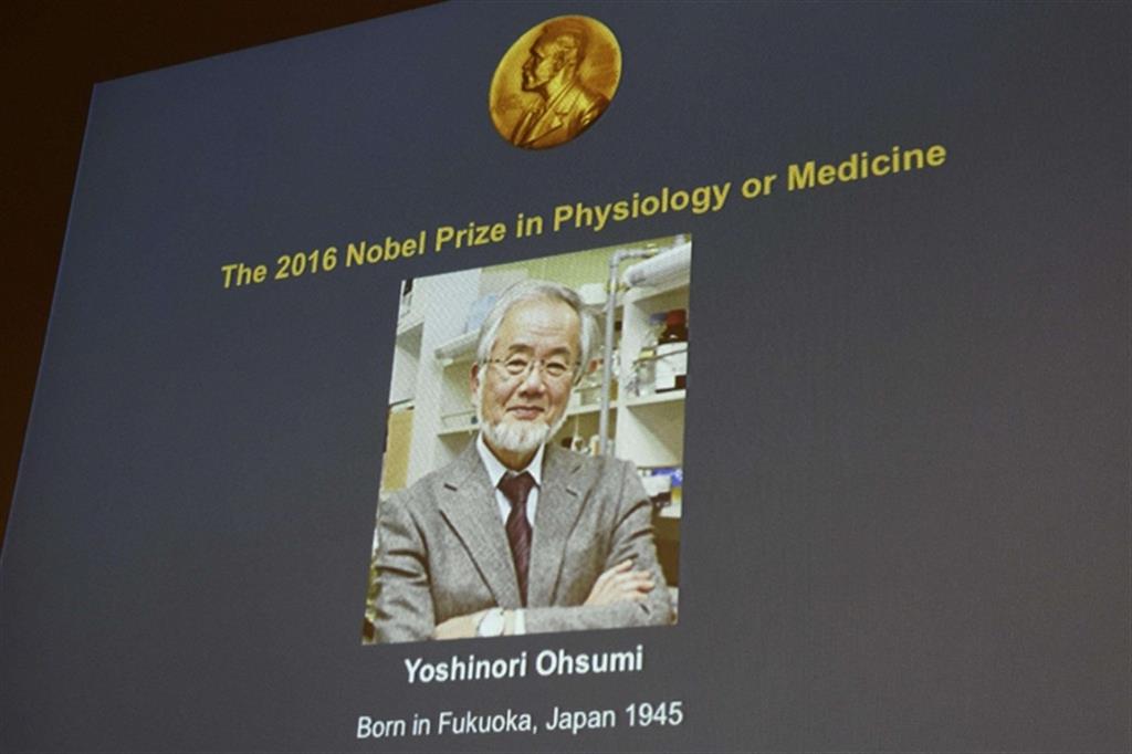 Il Nobel della Medicina a Yoshinori Ohsumi 
