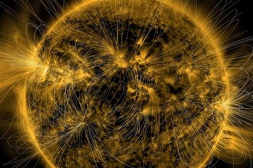 La bellezza del campo magnetico del sole (foto)