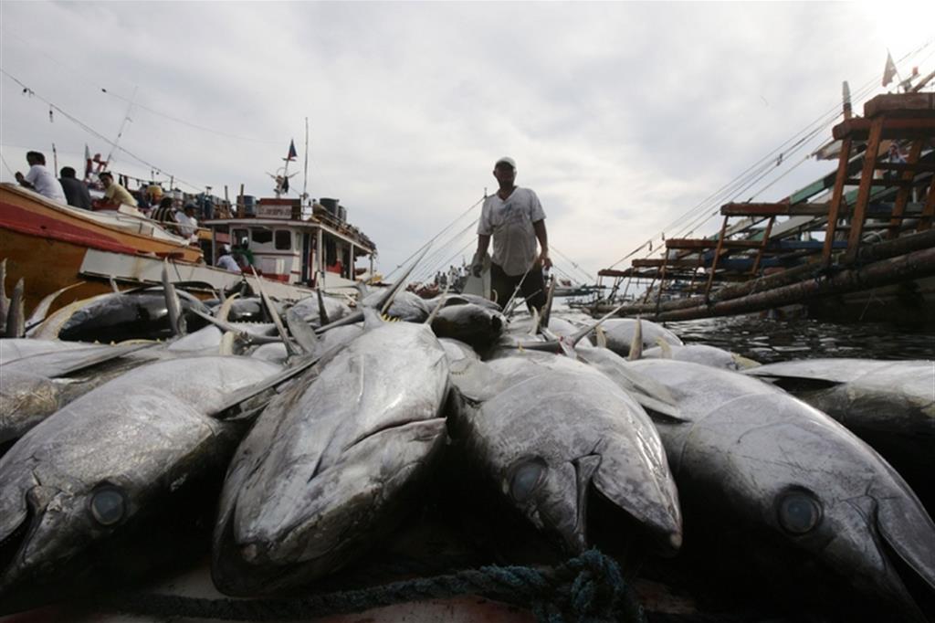 Thailandia, pescatori e ambiente sfruttati