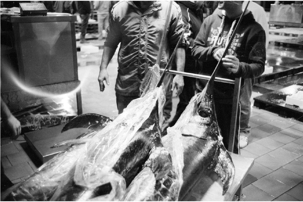 Pesce spada a un mercato siciliano, (Edoardo Bonaccorsi via Flickr, https://flic.kr/p/dutSkw)