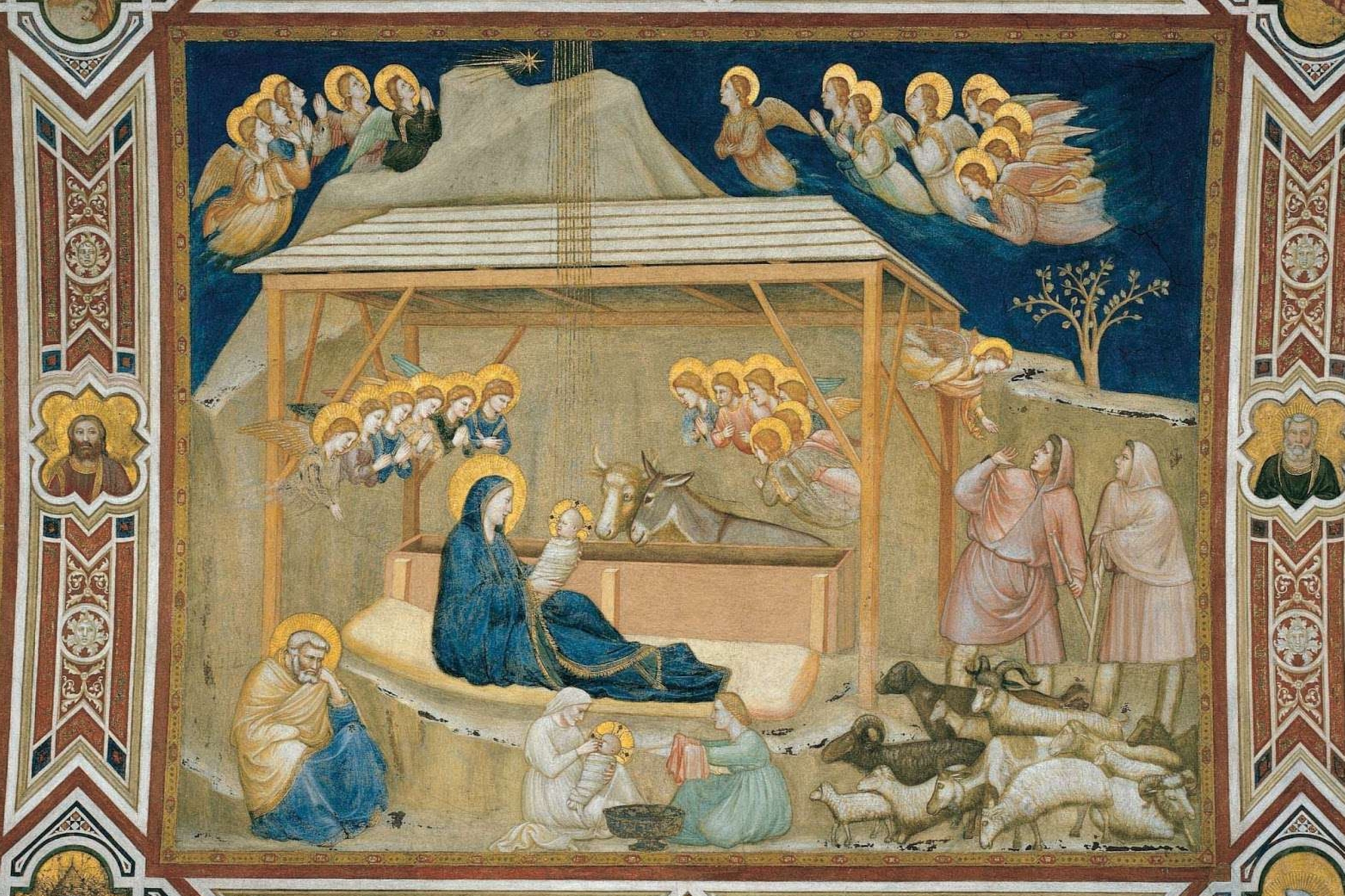 Papa Francesco sceglie la Natività di Giotto per gli auguri di Natale