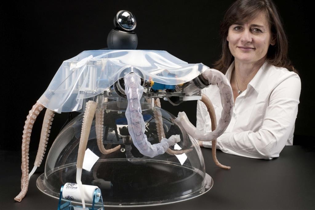 L'Italia che innova: da un polpo il robot più soft del mondo 
