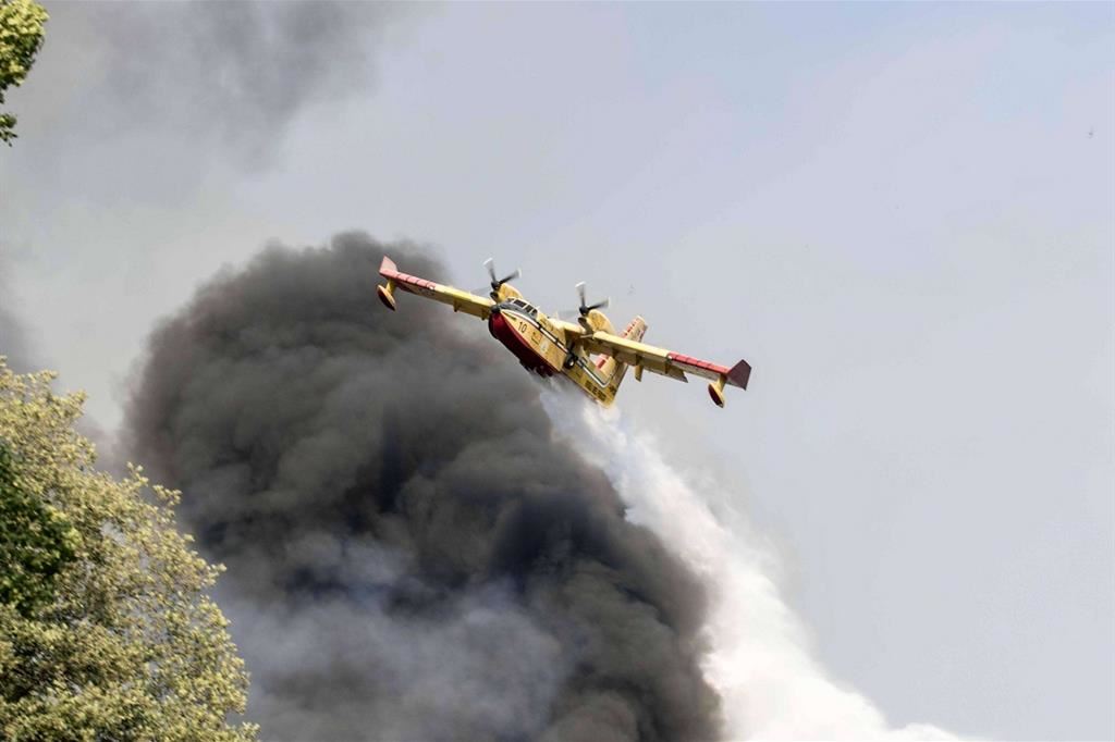 Un Canadair in azione a San Pietro in Guarano, vicino Cosenza - 
