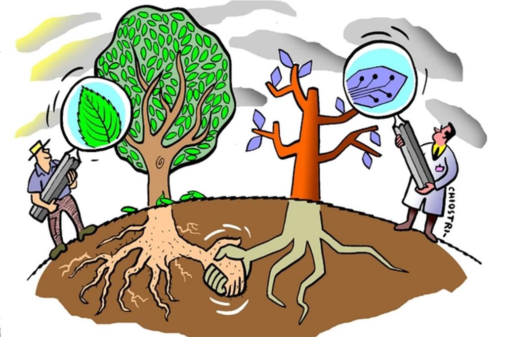 «Come studiare il suolo? Con piante robot»