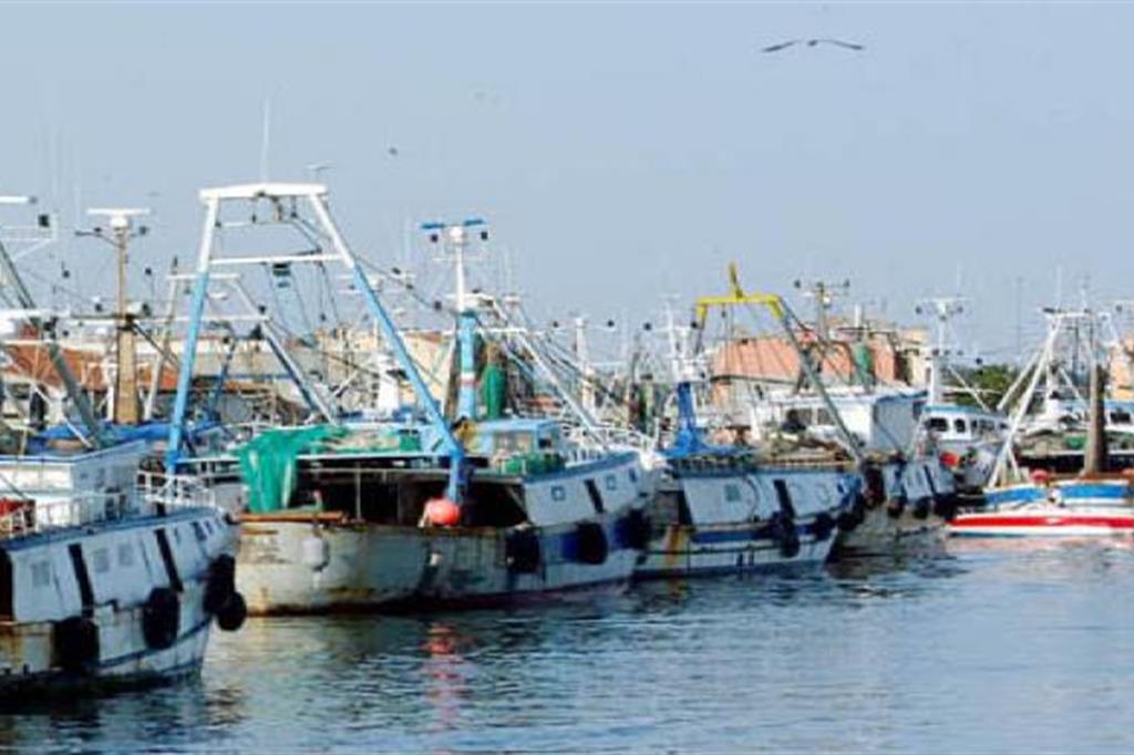 Pescherecci attraccati nel porto di Livorno