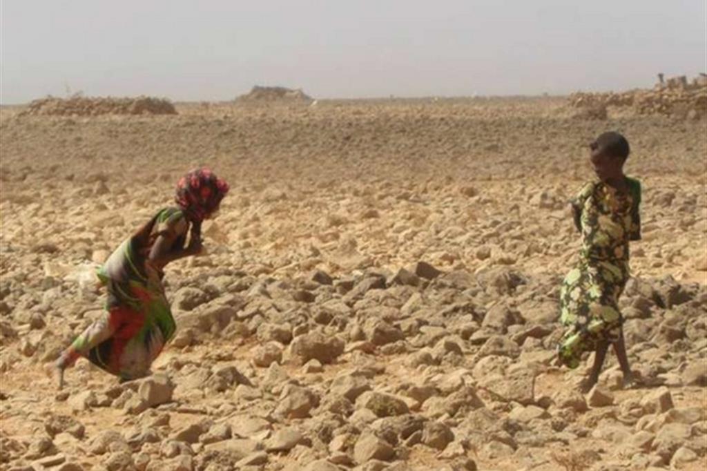 La grande fame in Africa: il Sahel muore e il mondo non si muove