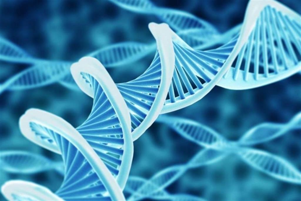 Il Comitato di bioetica: moratoria sull’editing genetico per l’uomo